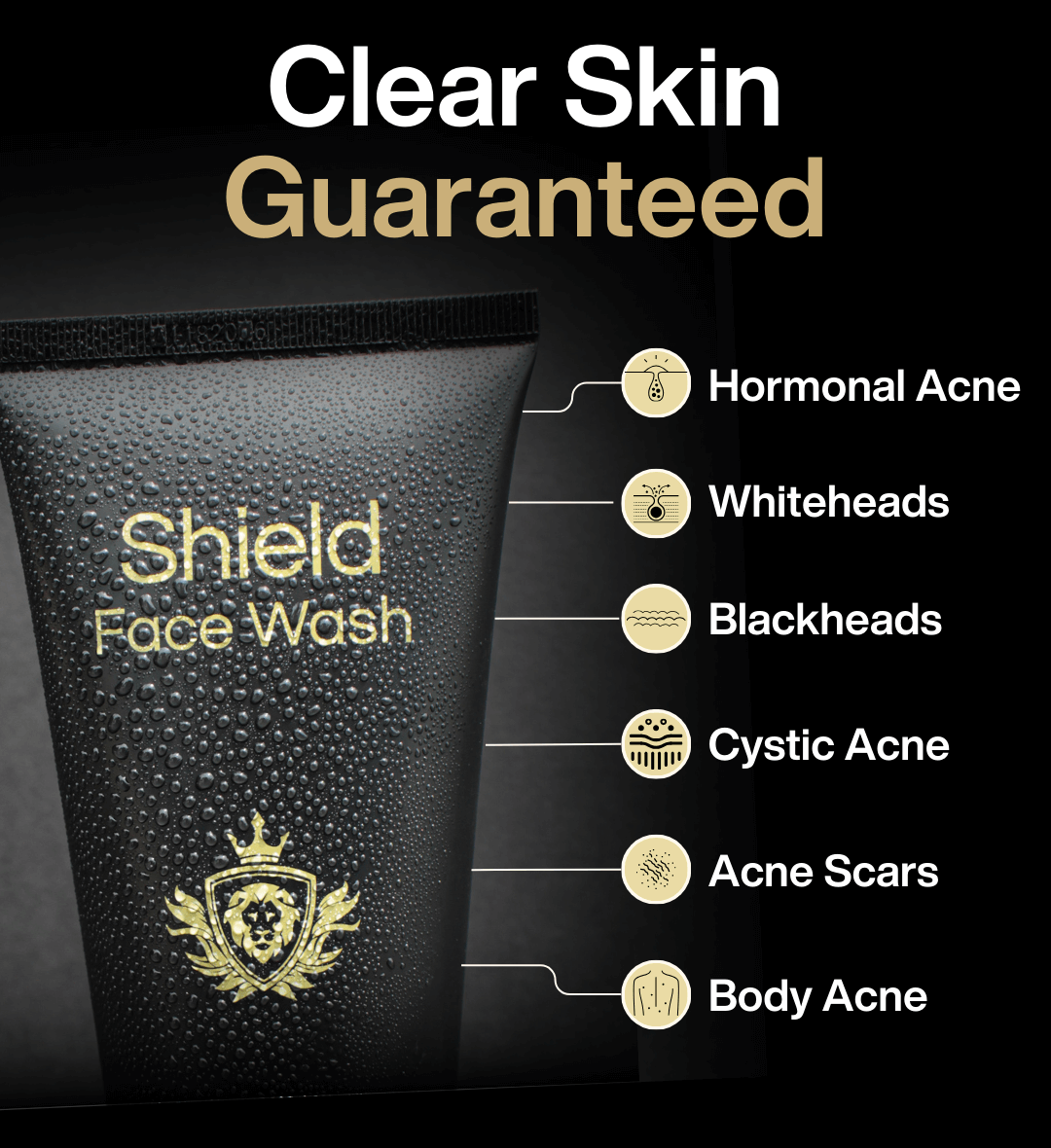 Shield System