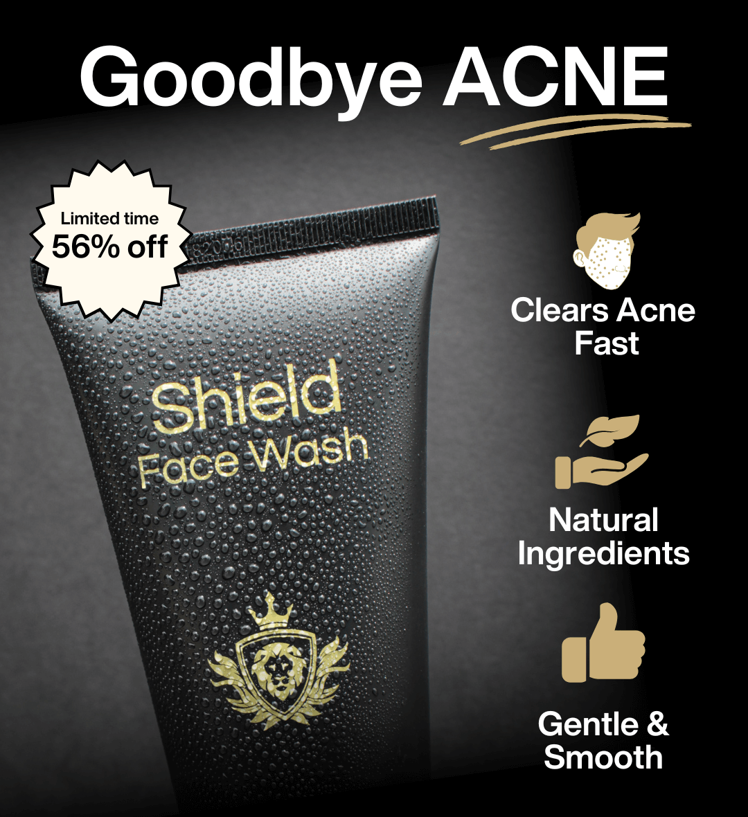 Shield System